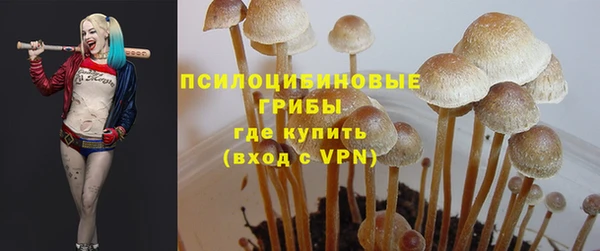 мяу мяу мука Абдулино