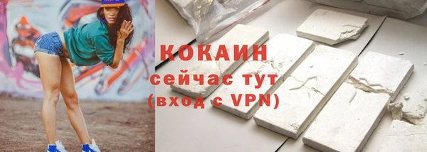 хмурый Абаза