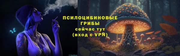 хмурый Абаза