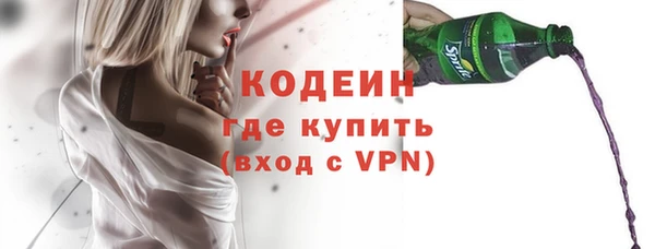 хмурый Абаза