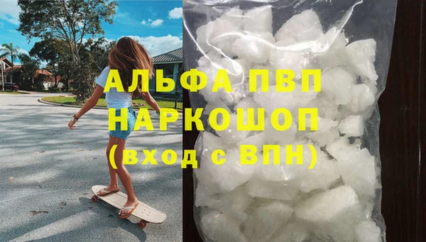хмурый Абаза