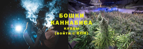 хмурый Абаза